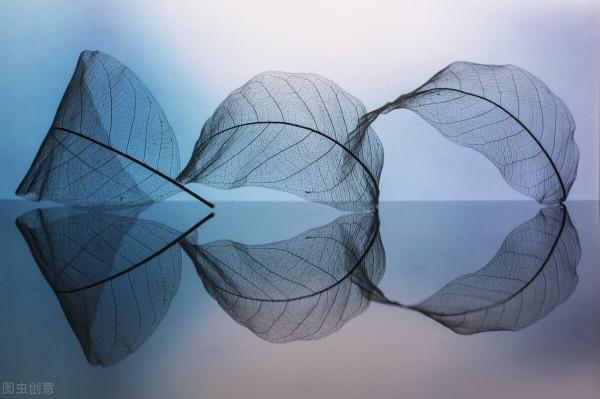 我用12年的青春，最後換來了一無所有