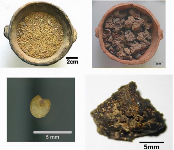 考古學家挖出來的那些美食,你饞了嗎? 考古學家挖出來的那些美食,你饞了嗎?