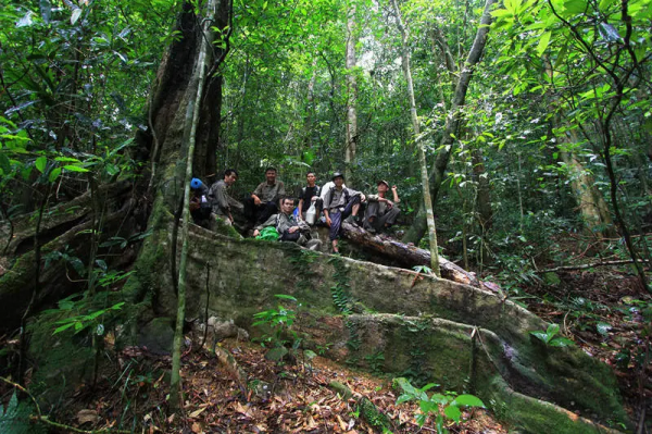 「邊疆時空」海南熱帶雨林護林員:穿行在大山深處的“守護者” 「邊疆時空」海南熱帶雨林護林員:穿行在大山深處的“守護者”