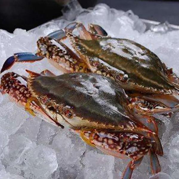 美味的梭子蟹金屬鎘超標？真相來了