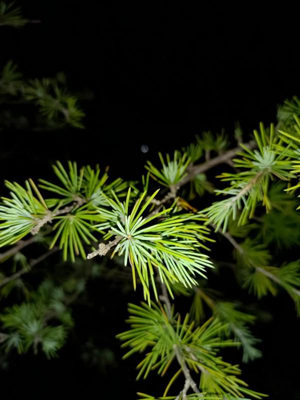 誰說近處無風景?大美清泉河給你一份不同的畫卷 誰說近處無風景?大美清泉河給你一份不同的畫卷