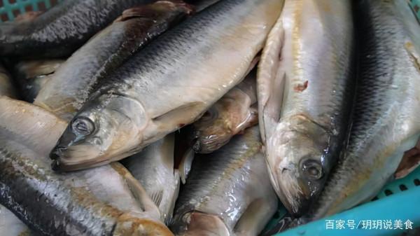 山東小夫妻擺攤賣小吃，8元一個用的全是凍貨，月入3萬喜提豪車