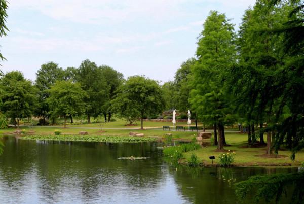 辰山清秀惹人醉 辰山清秀惹人醉