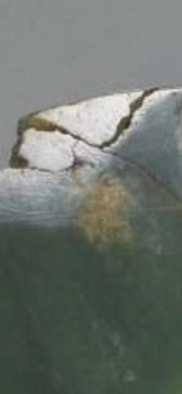 玉器的驚裂痕(論例)