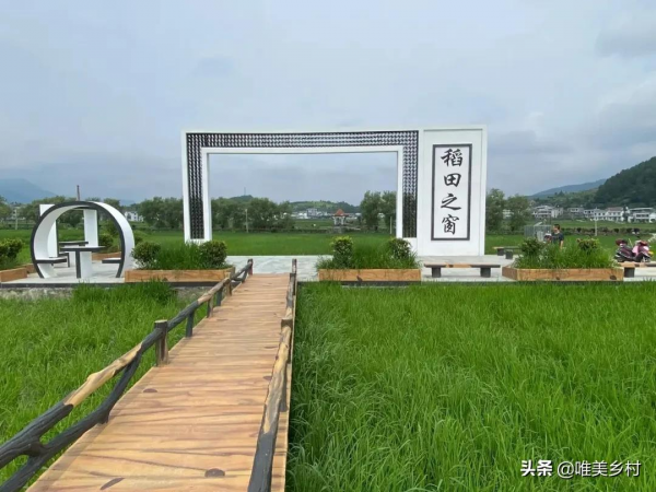 十萬億康養市場迎來大爆發,鄉村旅居+田園康養,會是引爆點嗎? 十萬億康養市場迎來大爆發,鄉村旅居+田園康養,會是引爆點嗎?