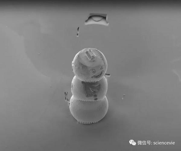 世界上最小的房子有多小？可以在頭髮上放10棟