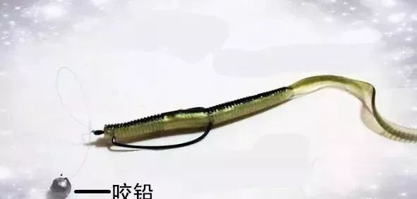 五花八門的軟蟲釣組，你知道高手們都是怎麼用的嗎？