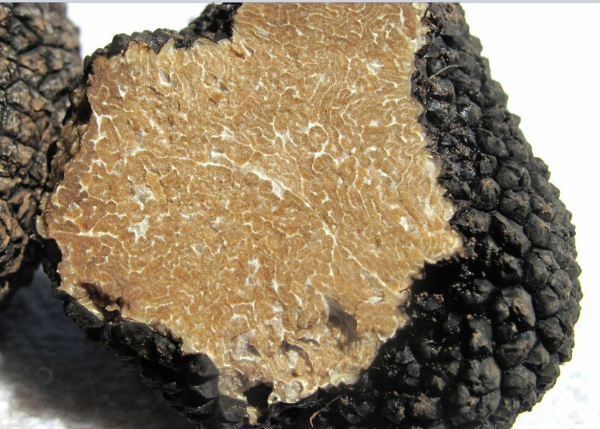 那些被中國人實現的“頂級生鮮自由”… 那些被中國人實現的“頂級生鮮自由”…