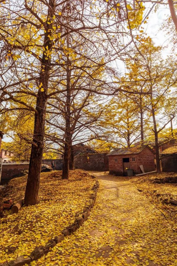 中國最美的50個地方,我竟然只去過10個,你呢? 中國最美的50個地方,我竟然只去過10個,你呢?