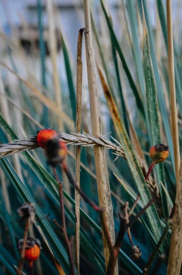 大多數人永遠不會真正的平庸,所以我們要儘快告別平庸 大多數人永遠不會真正的平庸,所以我們要儘快告別平庸