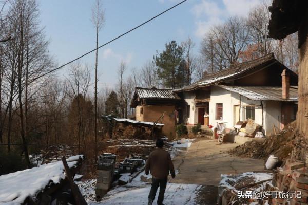 秦嶺二房山大灣裡，山路上隨處可見的的柿子樹，大多都沒有人採摘