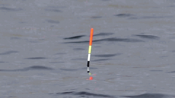 75歲民間老釣友，自制“聽話水”，每次釣魚加點，從不為漁獲發愁