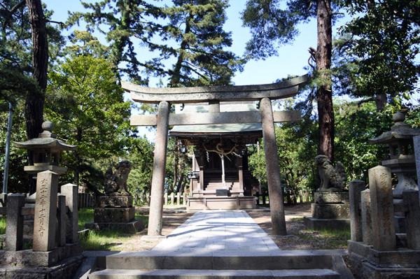 海灘探訪｜絕景“天橋立”胯下窺視，“空中”飛龍飄舞的日本三景