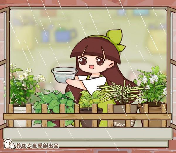 夏季多肉難養好?記住3個不要,安穩度夏不困難 夏季多肉難養好?記住3個不要,安穩度夏不困難