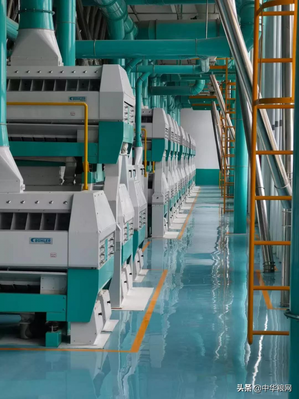 中國誕生世界上最大面粉車間!日加工小麥6000噸 中國誕生世界上最大面粉車間!日加工小麥6000噸