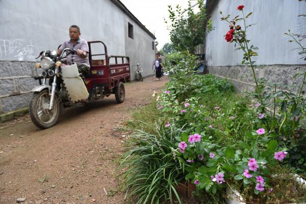 有人到農村收購花椒籽幹什麼？8方面用途，可讓花椒籽變廢為寶