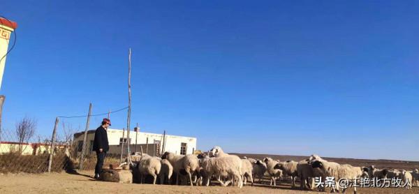 靠養殖到底能不能致富？江豔實話實說，再聽聽她的致富經