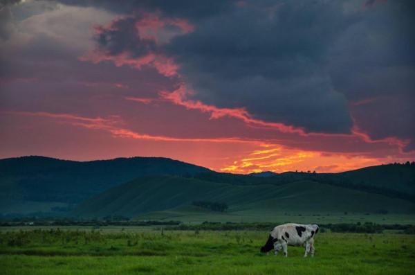 中國最適合自駕的地方，非這裡莫屬