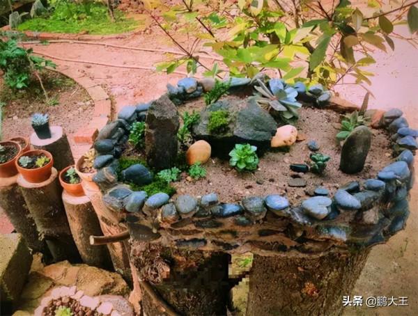 水泥石子堆做成簡易版花盆，省錢又好看，絕了