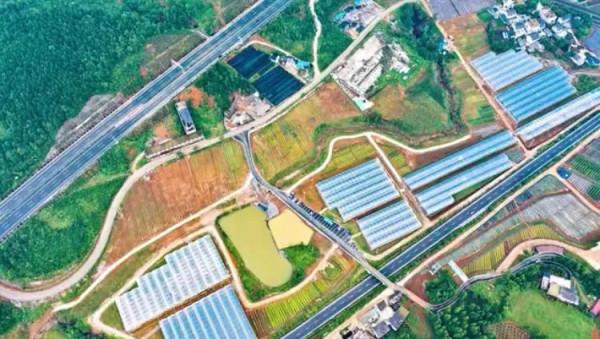 繽紛花海，果蔬採摘，房車露營......中秋出遊就來羊昌！