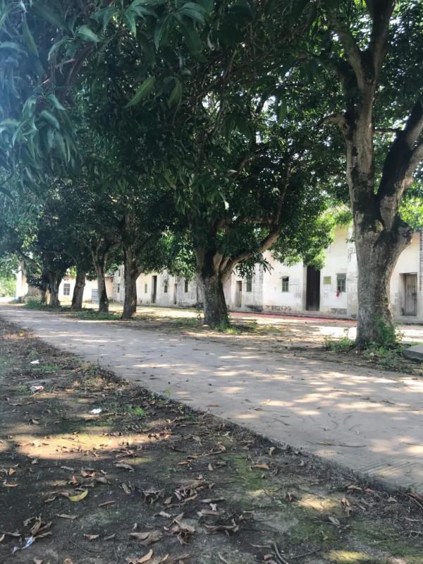 文旅中國0009:廣東省最大古梁家莊園,有炮樓碼頭為何人去樓空? 文旅中國0009:廣東省最大古梁家莊園,有炮樓碼頭為何人去樓空?