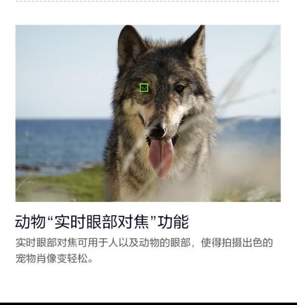 索尼黑卡4年重度使用者的最全選購指南，全系黑卡怎麼選