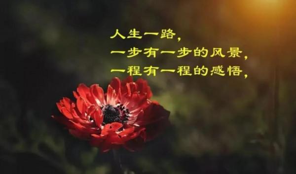 生活需要友善的謊言 生活需要友善的謊言