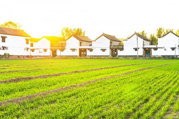 一個月工資多少？有物件了嗎，車買了嗎？