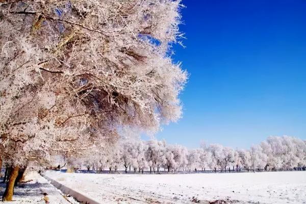 新疆霧凇,這才是完美冬天的開啟方式,真正的冰雪王國... 新疆霧凇,這才是完美冬天的開啟方式,真正的冰雪王國...