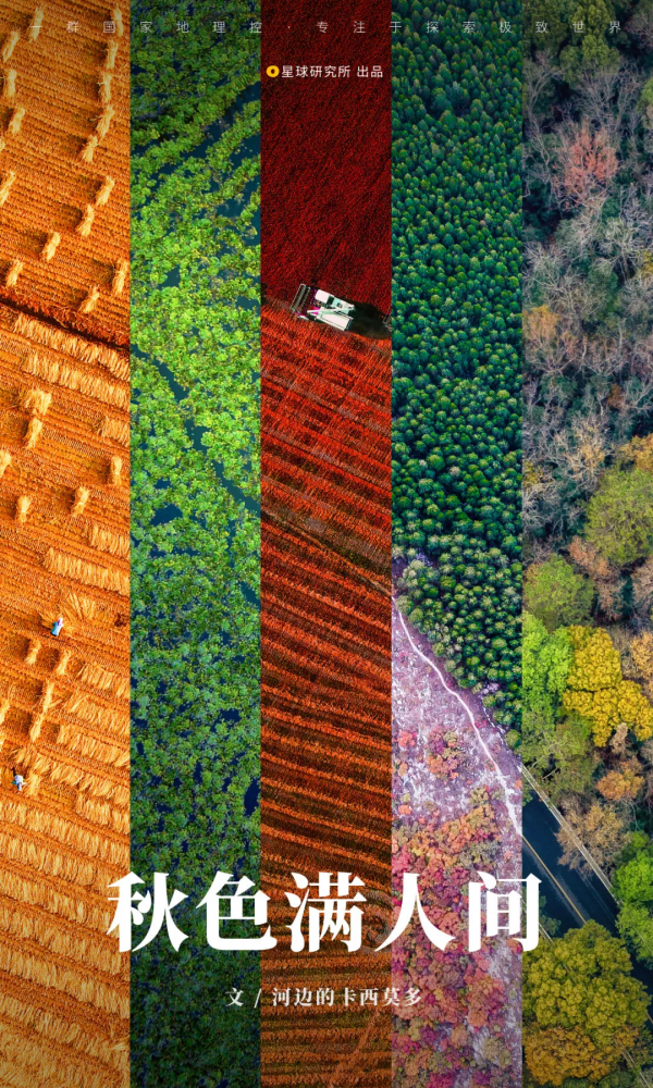 來了！中國賞秋地圖