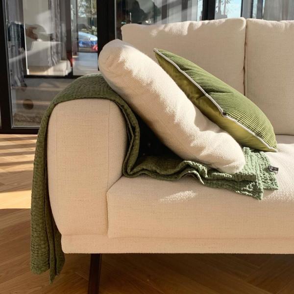 外國妹子養了只猴裡猴氣的緬因喵,這畫風,太大佬了 外國妹子養了只猴裡猴氣的緬因喵,這畫風,太大佬了