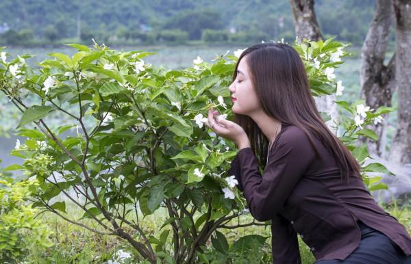 「品讀易經」恆卦(下巽上震):日久識人心 「品讀易經」恆卦(下巽上震):日久識人心