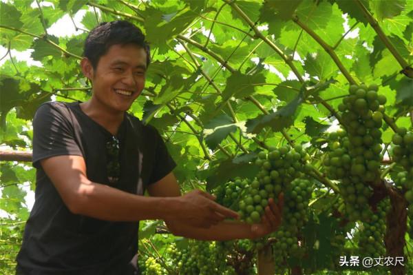 農村也將“先富帶後富”?返鄉創業正式進入推廣期,先下手先翻身 農村也將“先富帶後富”?返鄉創業正式進入推廣期,先下手先翻身