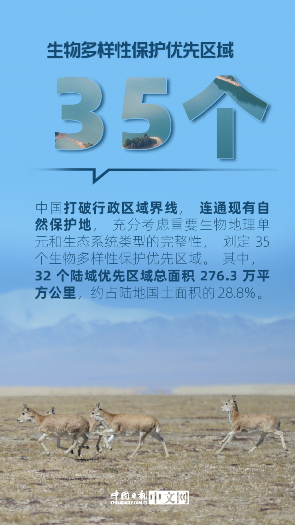 數說|保護生物多樣性 中國這樣做 數說|保護生物多樣性 中國這樣做