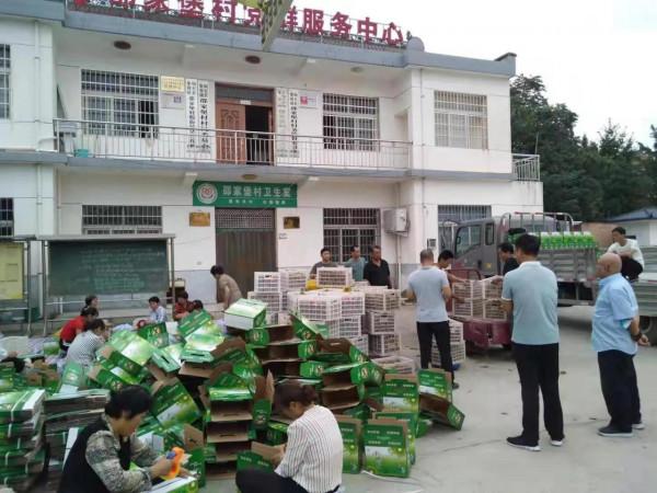 集賢鎮消費幫扶——優果走出去，溫暖送入心