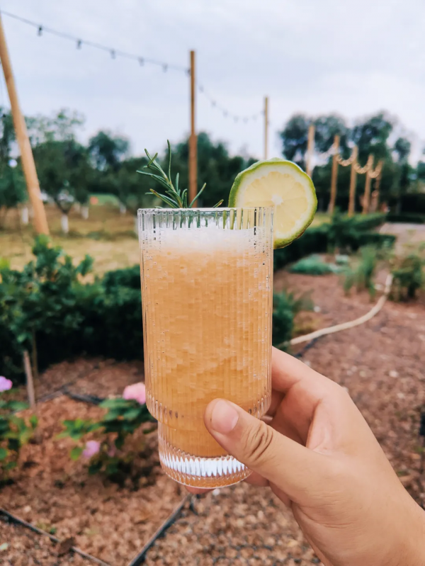 秋日農場嗨玩!露營野餐,種菜摘果,過嚮往的田園生活 秋日農場嗨玩!露營野餐,種菜摘果,過嚮往的田園生活