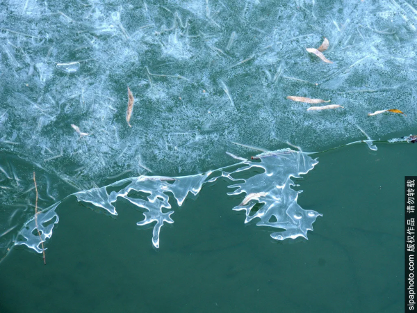 頻上熱搜！地鐵直達的冬日絕美景色！一定要來打卡！
