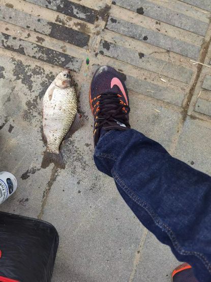 四年橋筏之路,盤點橋筏究竟需要哪些裝備? 四年橋筏之路,盤點橋筏究竟需要哪些裝備?