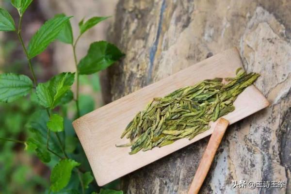 「王詩」在中國，撫摸茶的心跳（組詩）