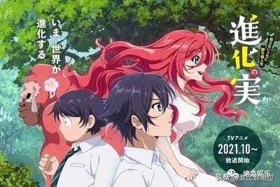 給中國動漫一劑強心針，淺談《月光下的異世界之旅》《進化之實》