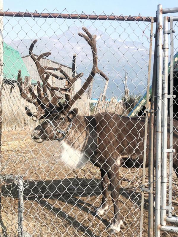 阿拉斯加安克雷奇冰川之旅