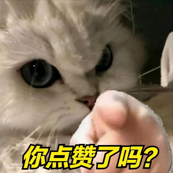 獅子和貓咪,你會選擇哪個? 獅子和貓咪,你會選擇哪個?