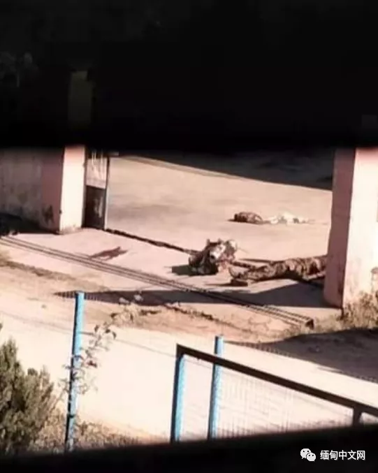 緬甸軍方與德昂軍在南坎激戰3小時！有人在街頭看到軍方士兵遺體