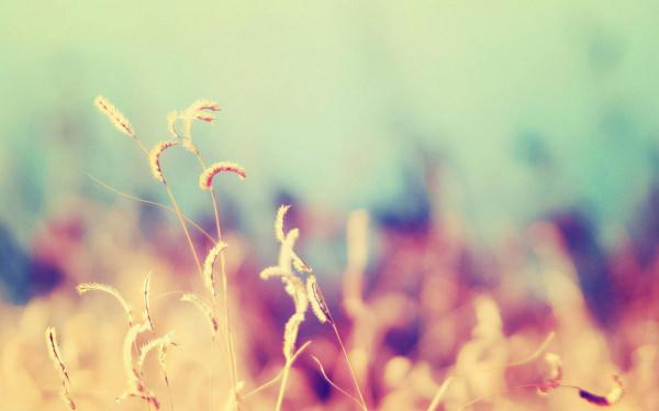 一個人最聰明的活法:擺正自己的位置 一個人最聰明的活法:擺正自己的位置