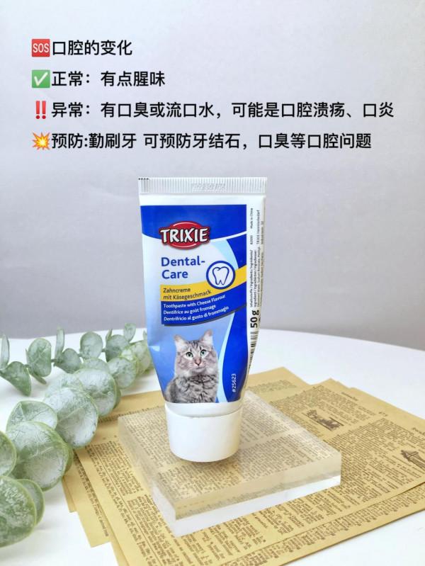 貓咪生病的14個訊號！早發現能救命