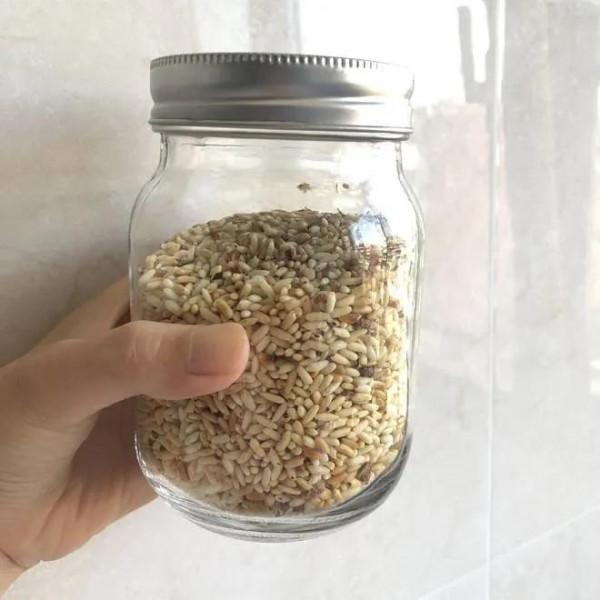 姜米茶——祛脂減肥的神器