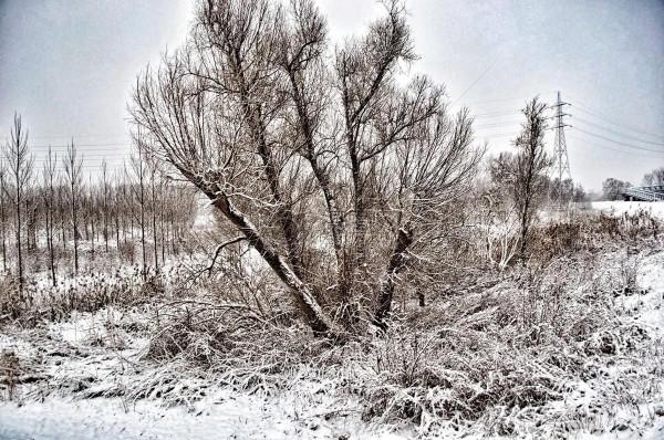 冬季的冷暖旱澇，農村老人說：取決於當年九月二十五這天的天氣