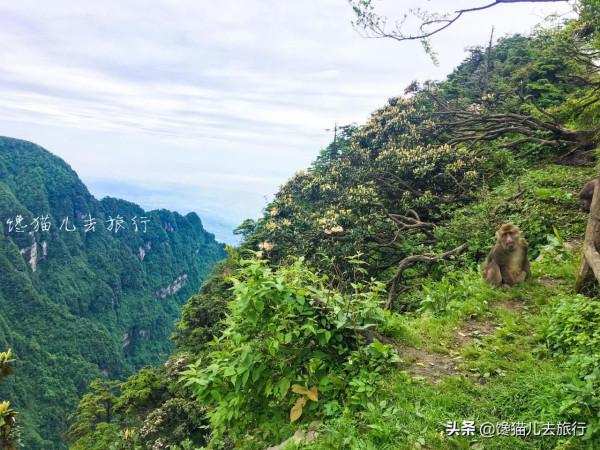 佛教名山對應哪個菩薩道場?前四都沒有爭議,浙江和貴州爭第五 佛教名山對應哪個菩薩道場?前四都沒有爭議,浙江和貴州爭第五