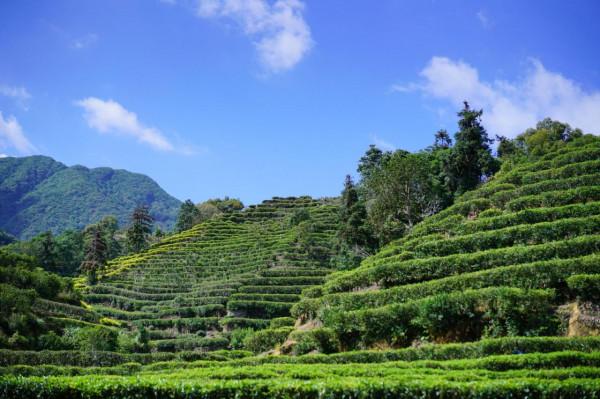 潮州潮安,哪些景點必須打卡?這裡看過來 潮州潮安,哪些景點必須打卡?這裡看過來
