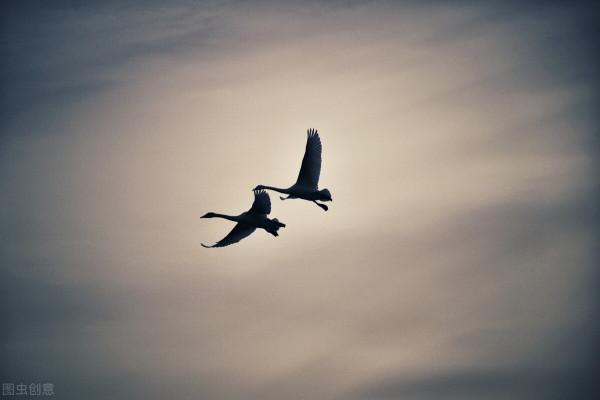 民間故事:書生住舊宅,眾人一看大笑:這就是你說的怪物嗎? 民間故事:書生住舊宅,眾人一看大笑:這就是你說的怪物嗎?